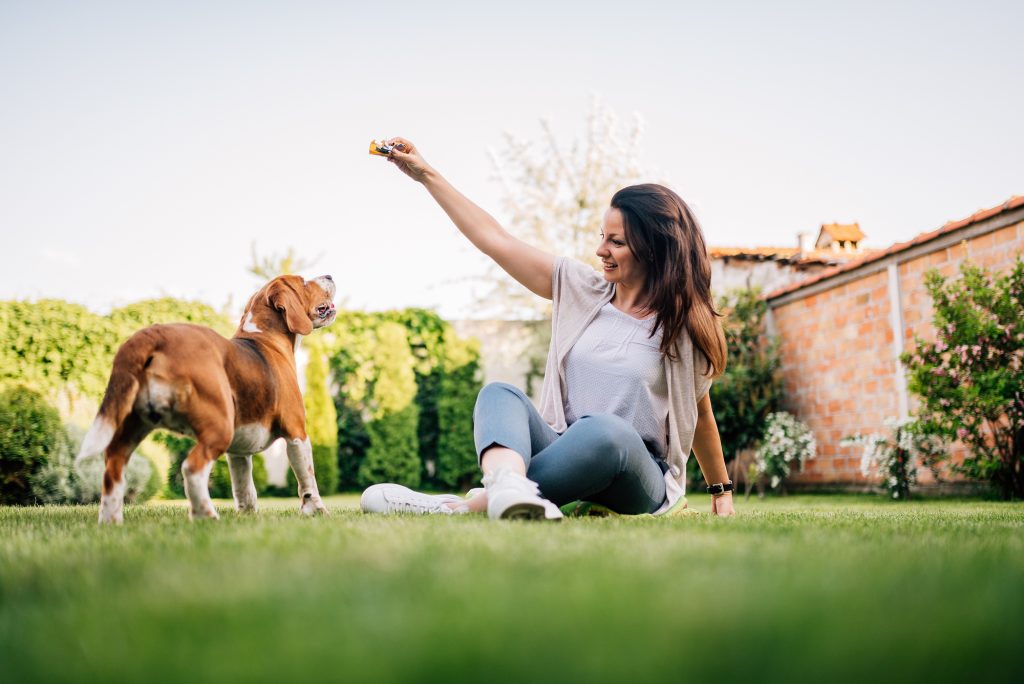 playing on clean lawn